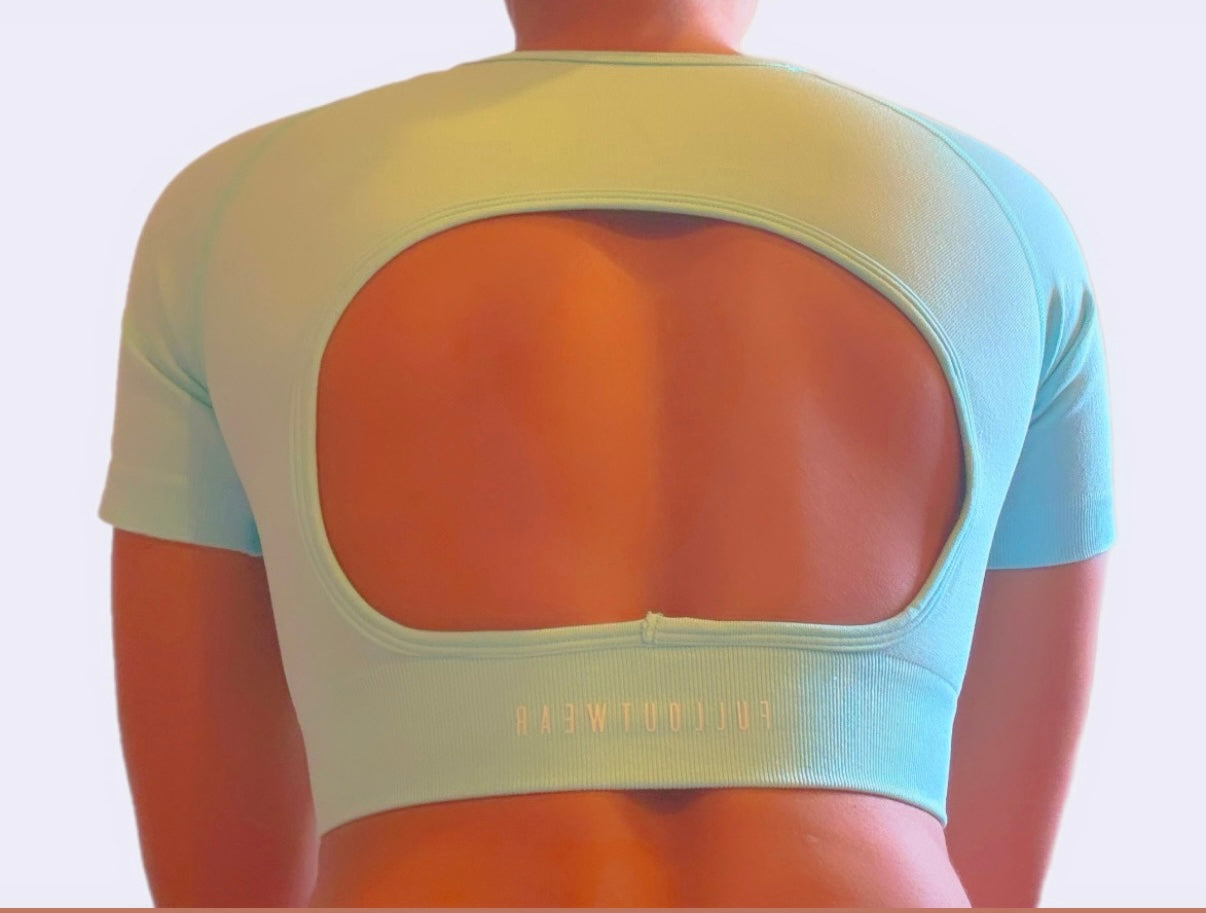 Cotton Candy Cropped top